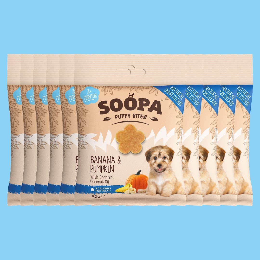 Banana & Pumpkin Puppy Dog Treats (50g)