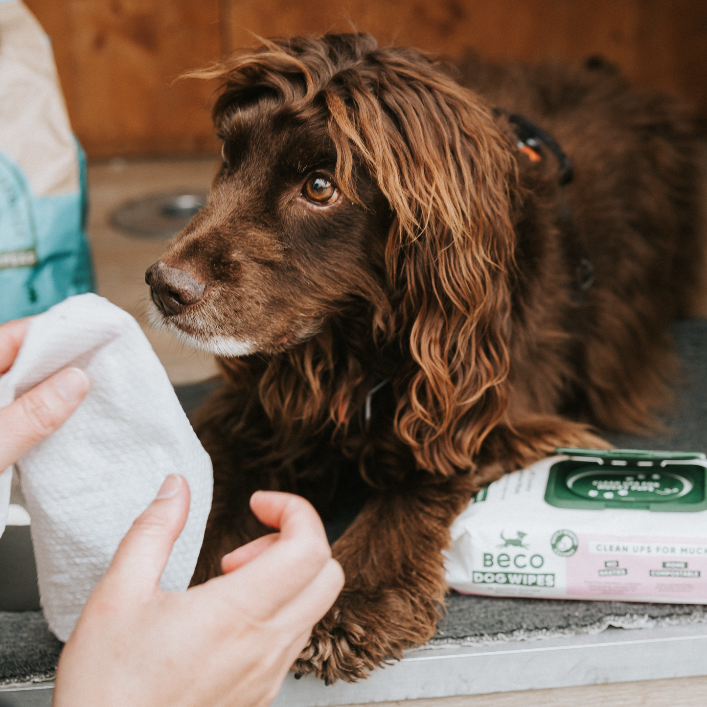 Beco Dog Wipes (80 pack)