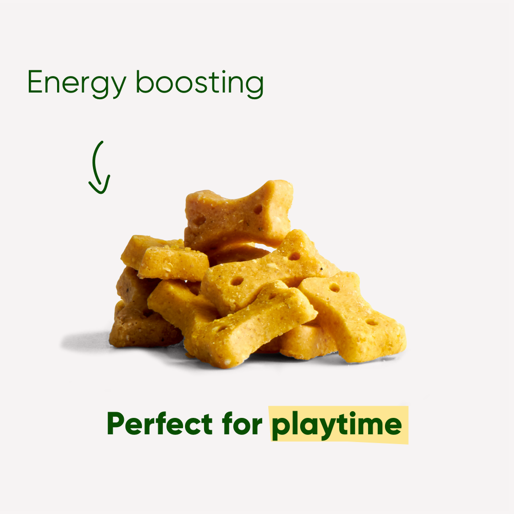 Beco Dog Treats Peanut (70g)