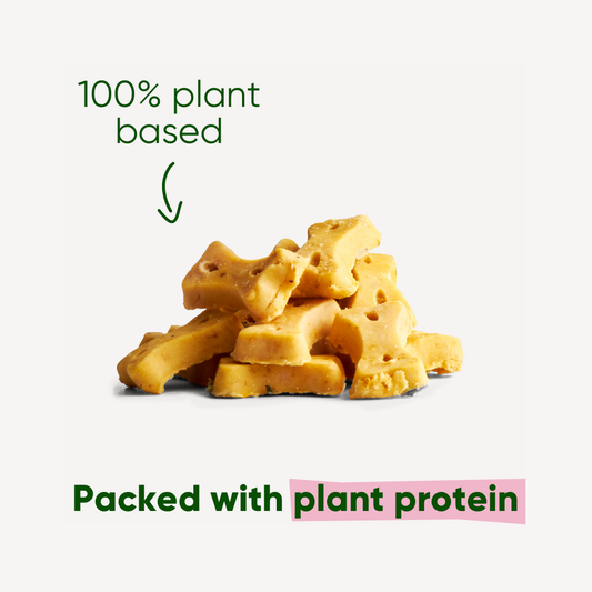 Beco Dog Treats Cashew (70g)