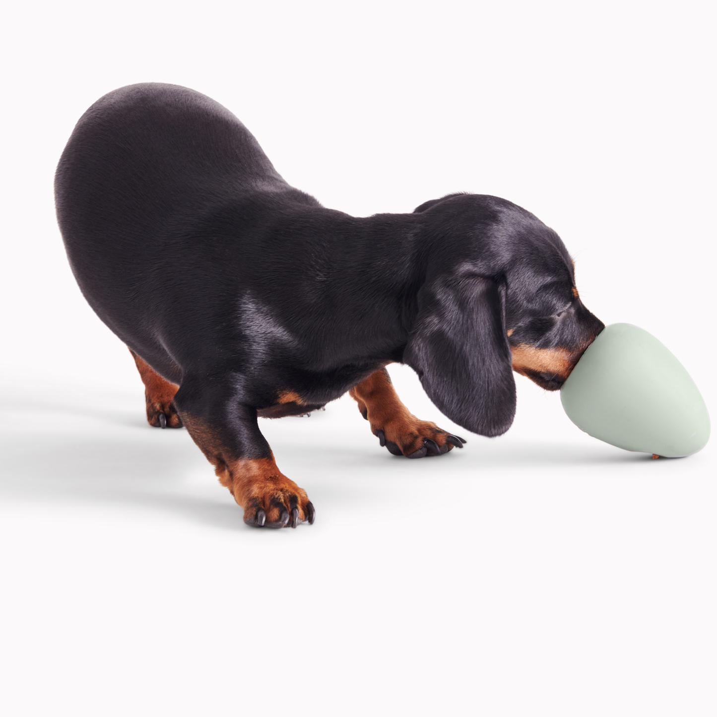 Beco Boredom Buster (Blue or Green)
