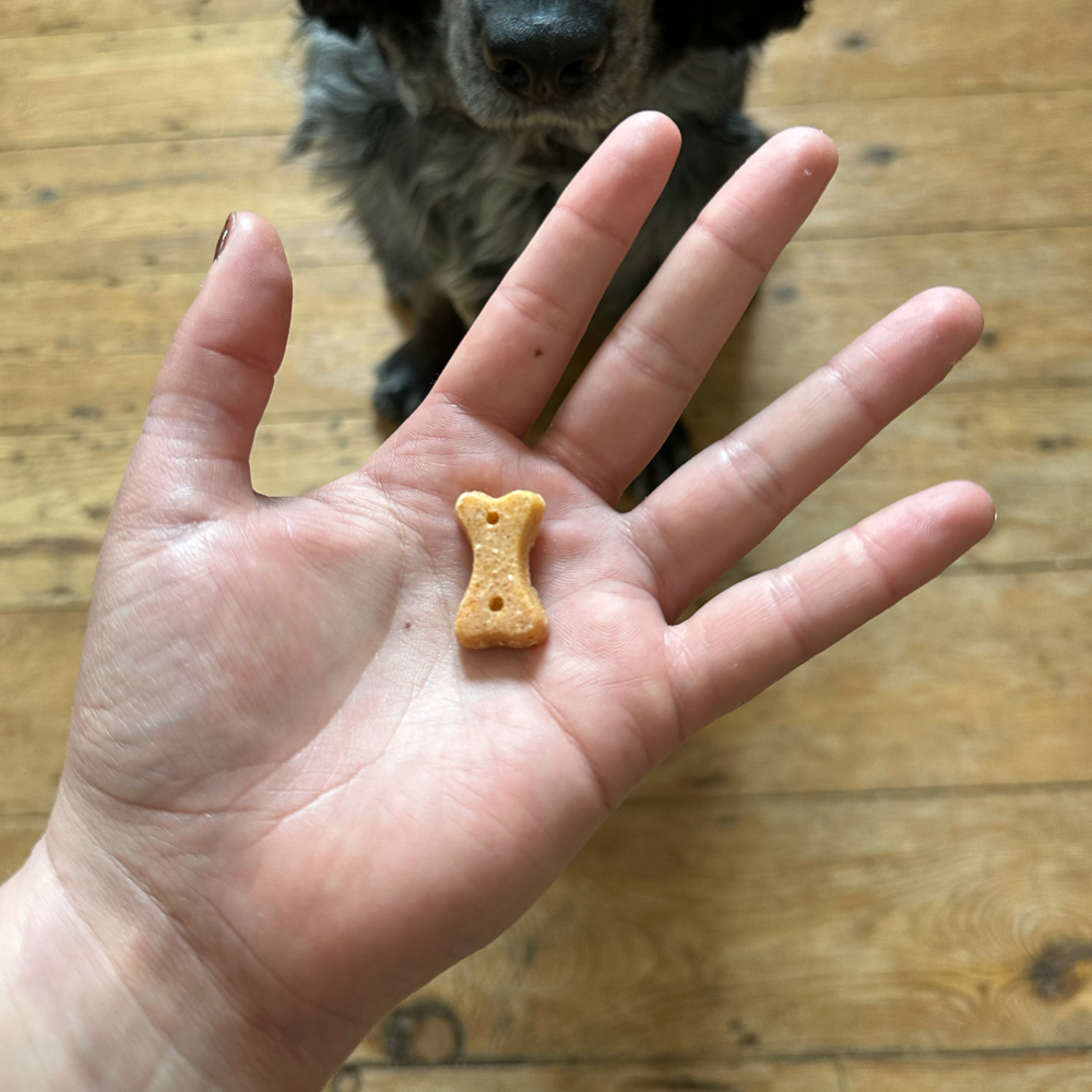 Beco Dog Treats Cashew (70g)