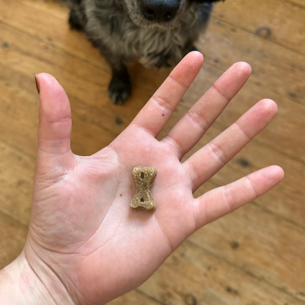 Beco Dog Treats Insect (70g)