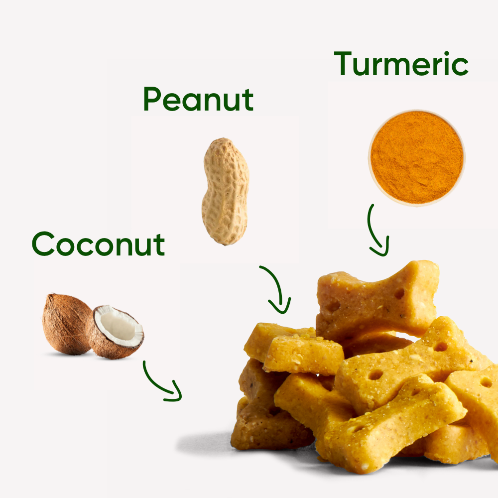 Beco Dog Treats Peanut (70g)