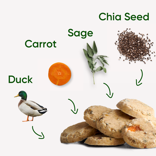 Beco Dog Treats Free Range Duck Liver (60g)