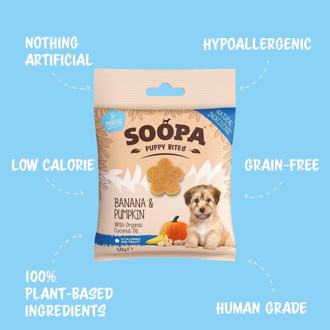 Banana & Pumpkin Puppy Dog Treats (50g)