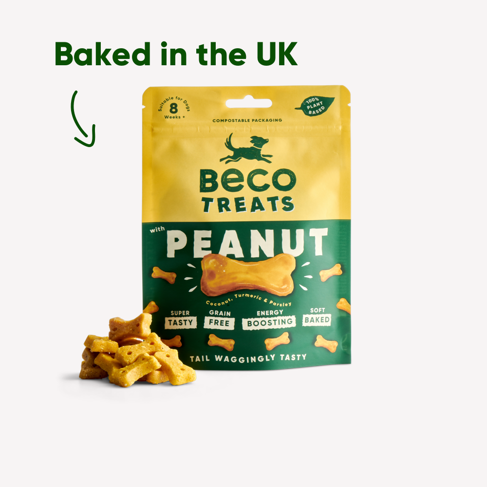 Beco Dog Treats Peanut (70g)