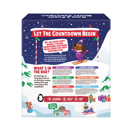 Denzel's 2025 Advent Calendar