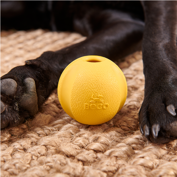 Beco Fetch Ball (Yellow or Orange)