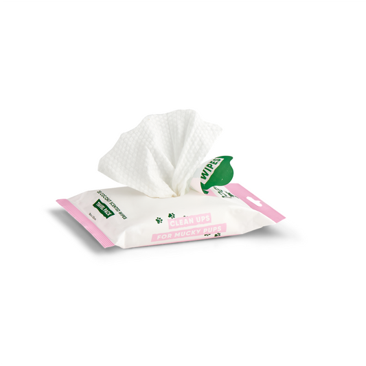 Beco Dog Wipes (20 pack)