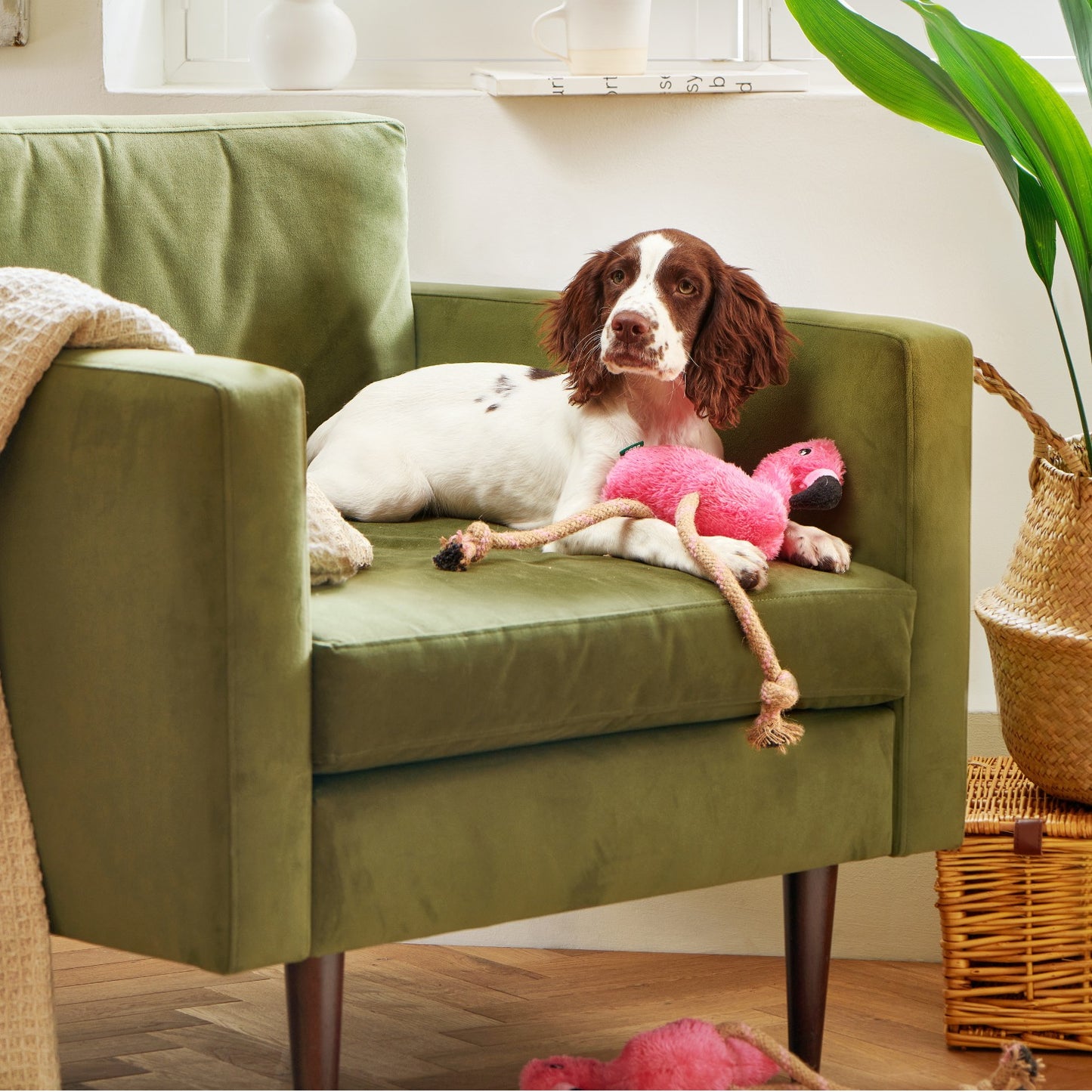Beco Plush Flamingo Dog Toy