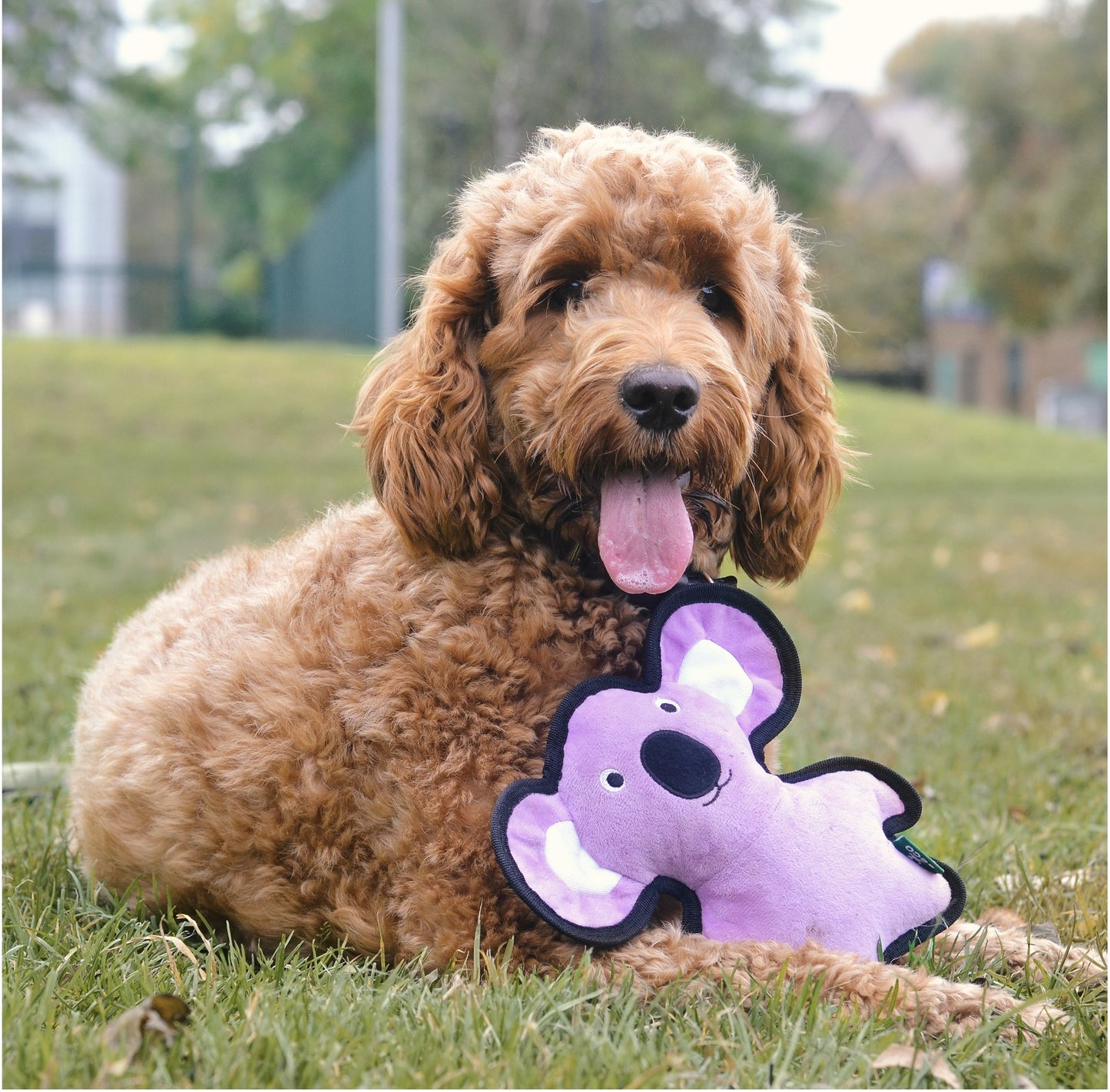 Beco Rough & Tough Recycled Dog Toy, Koala (Medium)