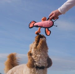 Beco Plush Lobster Dog Toy (Medium)
