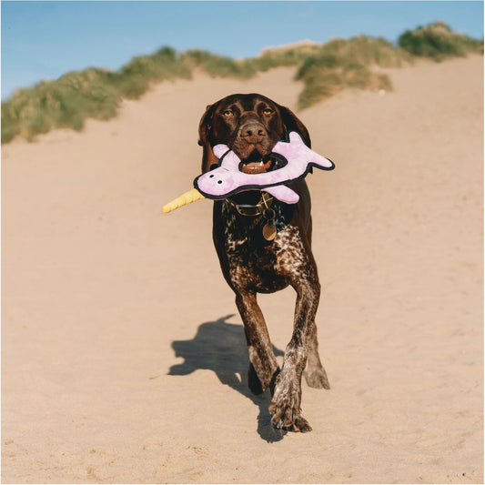 Beco Rough & Tough Recycled Dog Toy, Narwhal (Large)