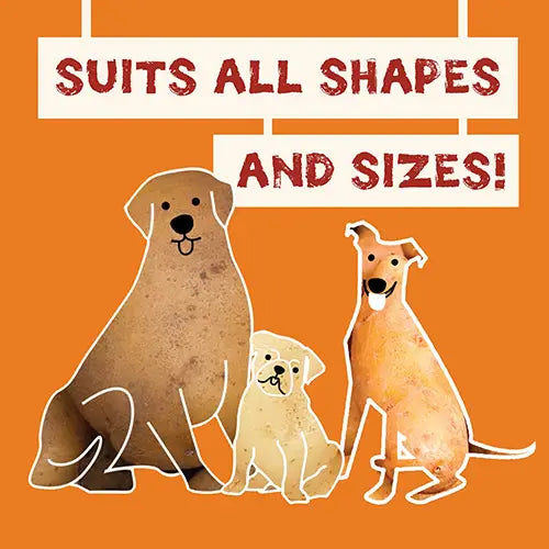 Pawtato Ocean Treats (140g)