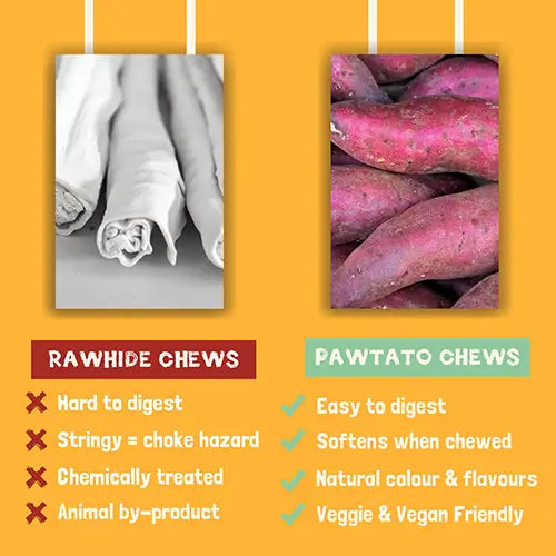 Pawtato Sticks - Blueberry (120g)