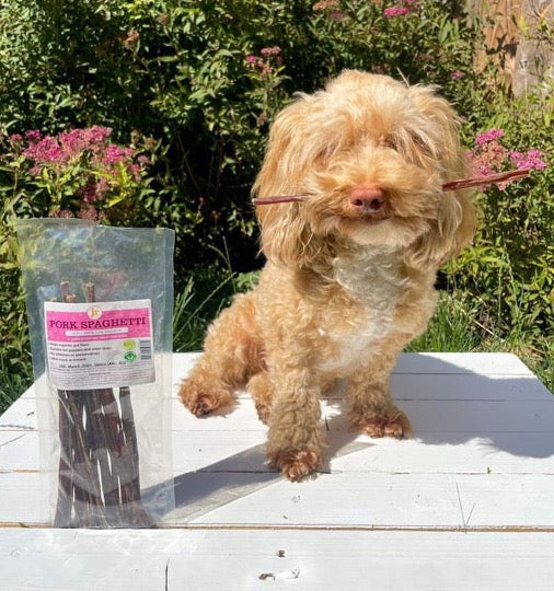 Pork Spaghetti (65g)