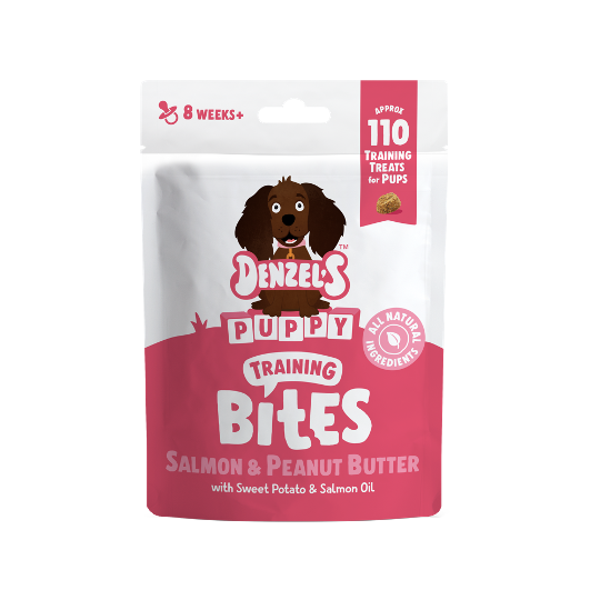 Salmon & Peanut Butter Puppy Training Bites (100g)