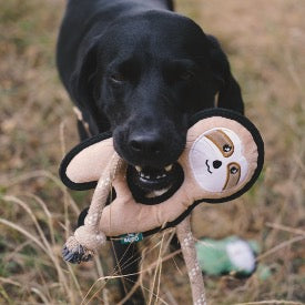 Beco Plush Sloth Dog Toy (Medium)