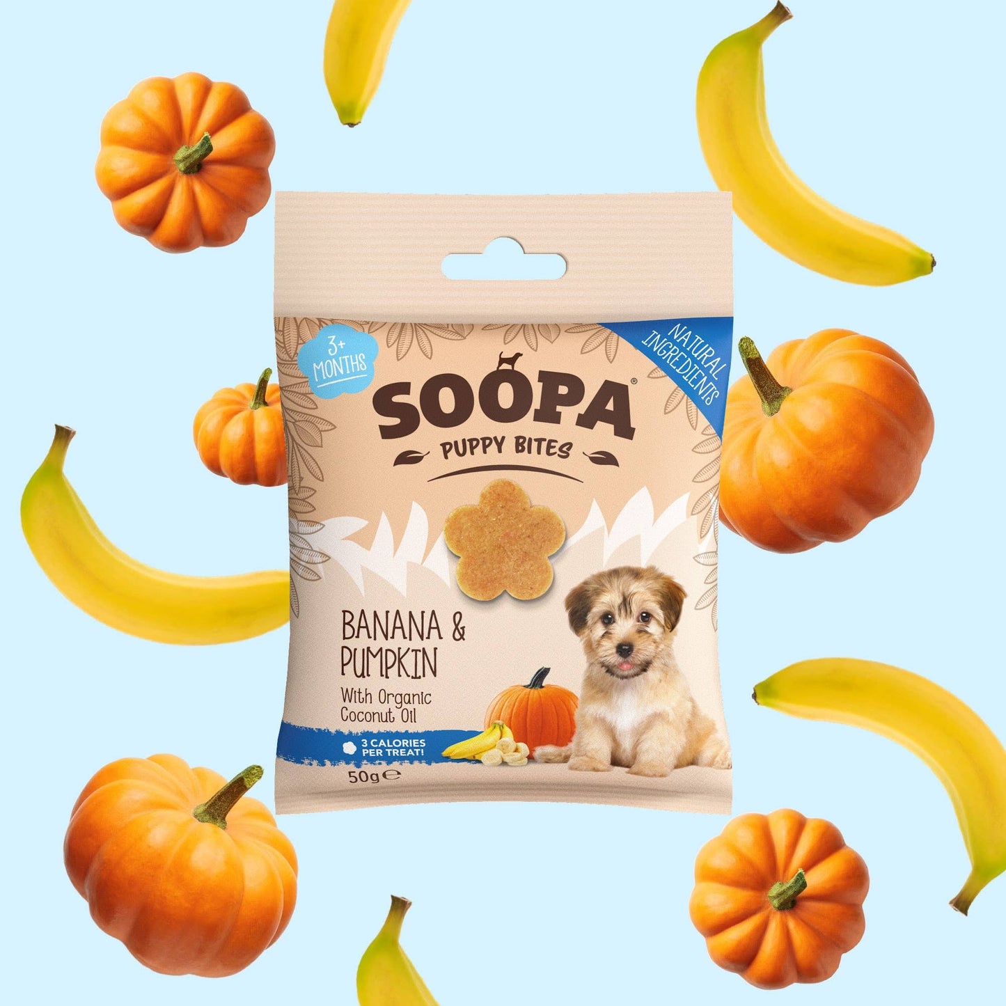 Banana & Pumpkin Puppy Dog Treats (50g)