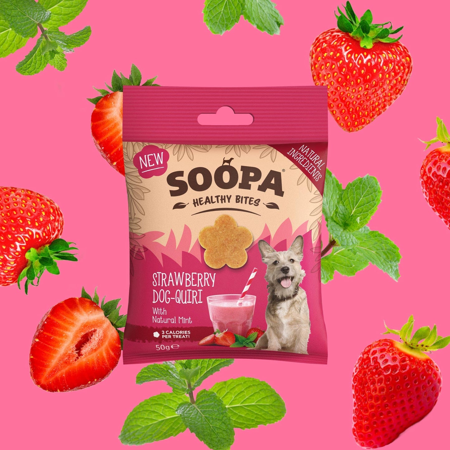 Strawberry Dog-Quiri Bites (50g)