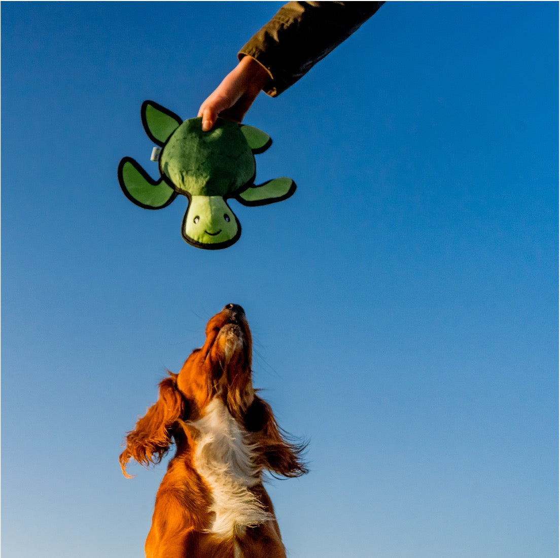 Beco Plush Turtle Dog Toy (Medium)