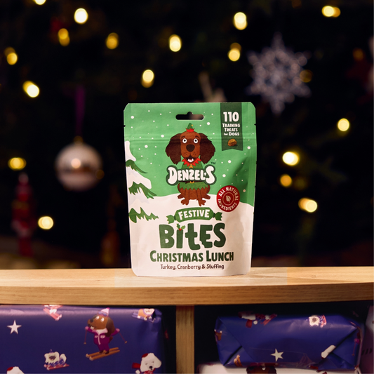 Denzel's Christmas Lunch Bites