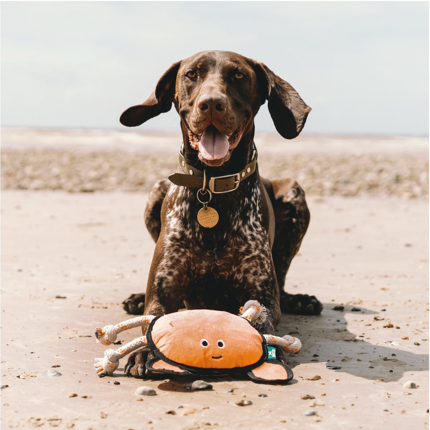 Beco Plush Crab Dog Toy (Large)