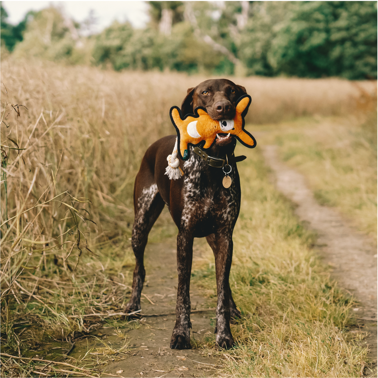 Beco Rough and Tough Recycled Kangaroo Dog Toy