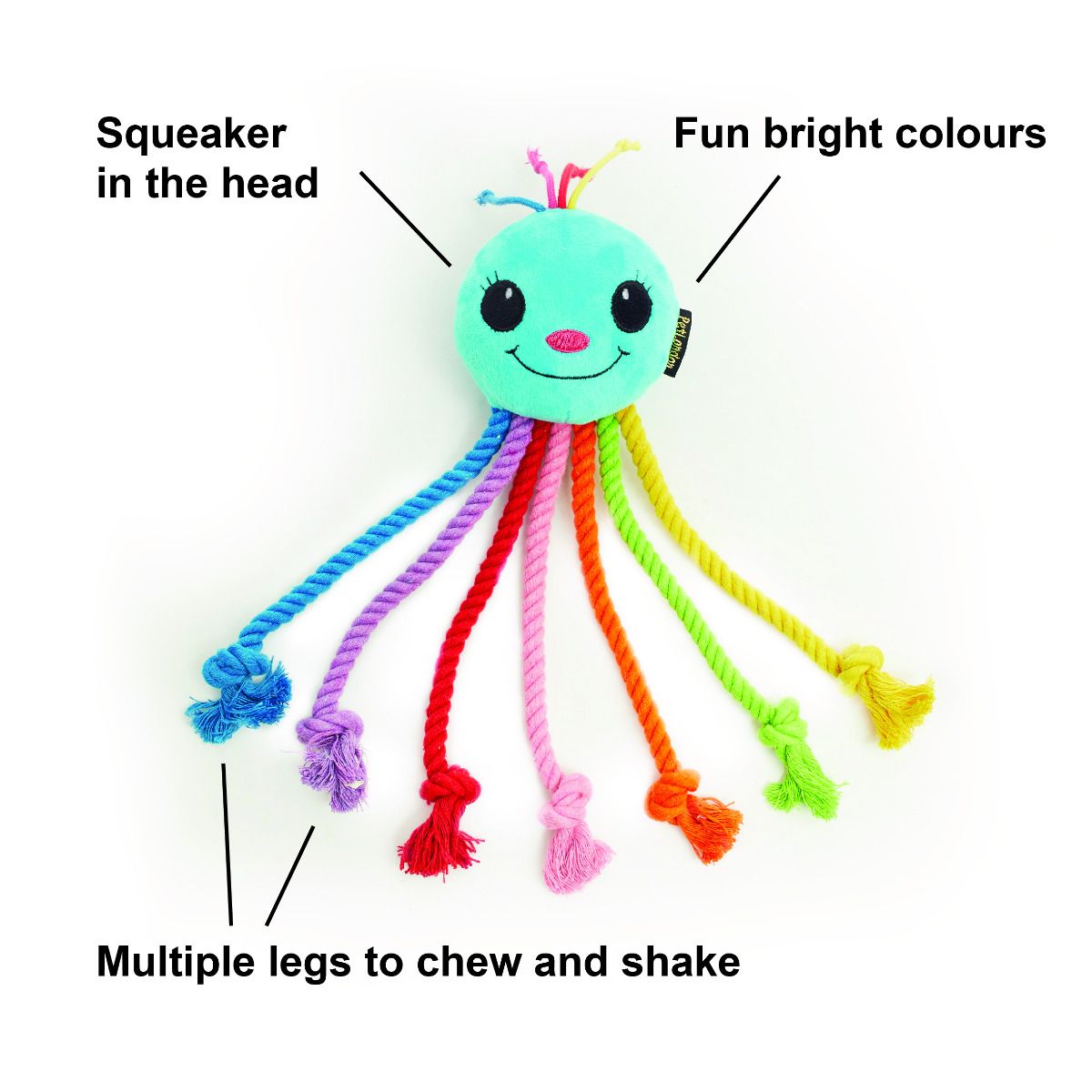 Rainbow Octopus