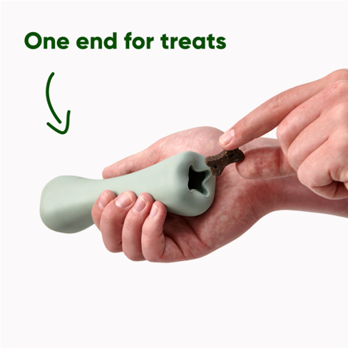 Beco Chew Bone (Green or Pink)