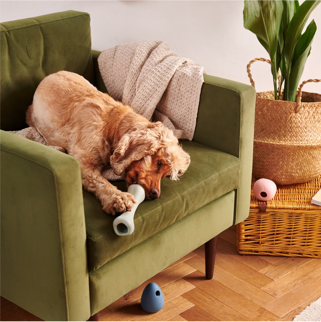 Beco Chew Bone (Green or Pink)